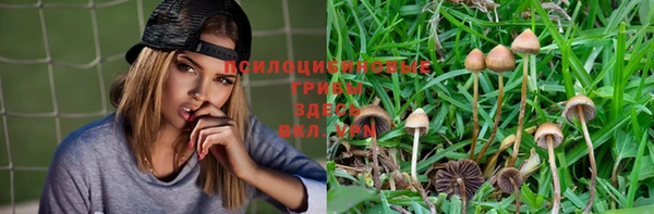 ПСИЛОЦИБИНОВЫЕ ГРИБЫ Балахна