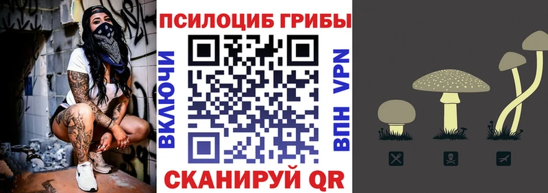 Галлюциногенные грибы GOLDEN TEACHER купить наркоту MEGA маркетплейс Будённовск
