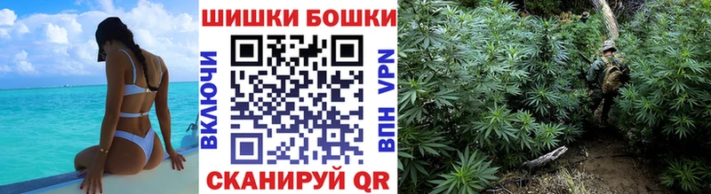 Бошки марихуана гибрид  Будённовск 